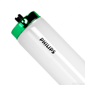 F48T12/D/HO/ALTO — PHILIPS